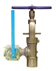 Tandem Blowdown Valve with Camseal